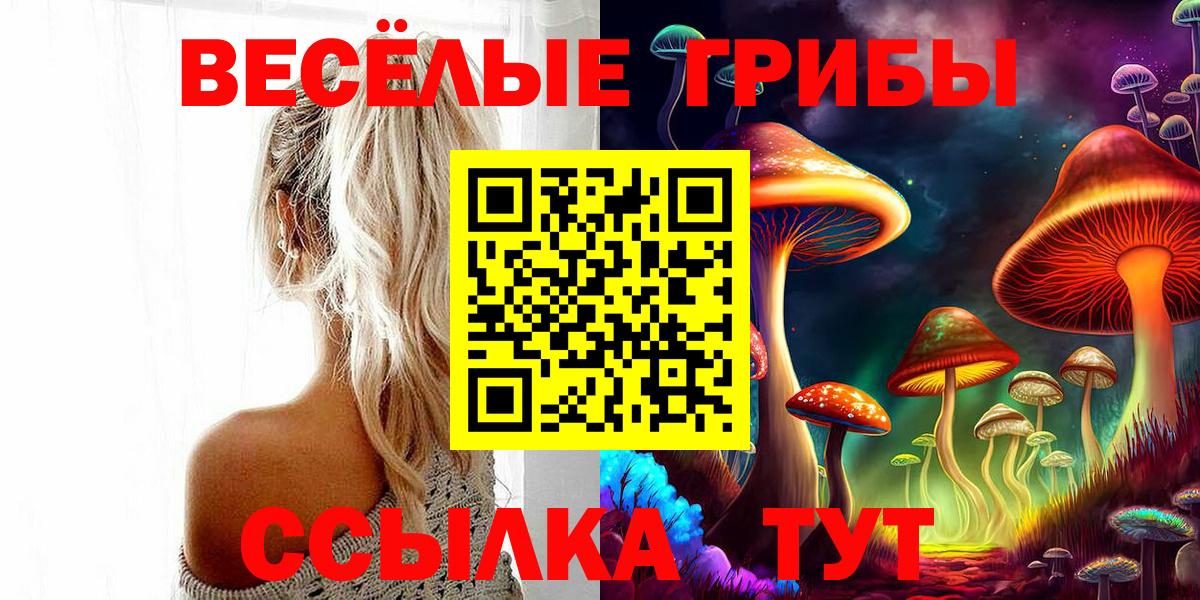 Галлюциногенные грибы мицелий Гусиноозёрск