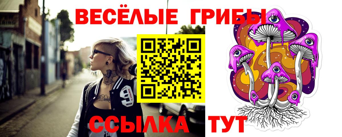 Галлюциногенные грибы прущие грибы  Вход с VPN  Гусиноозёрск  Галлюциногенные грибы прущие грибы 