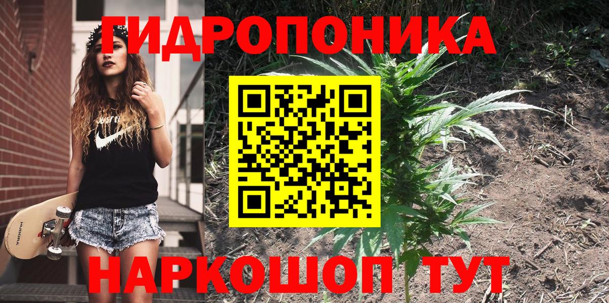 МАРИХУАНА семена  Шишки марихуана индика  Гусиноозёрск  Вход с VPN  Шишки марихуана White Widow 